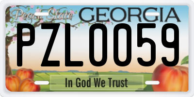 GA license plate PZL0059