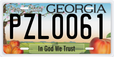 GA license plate PZL0061
