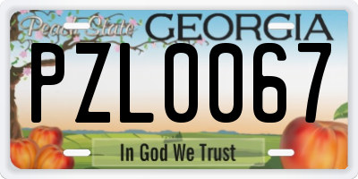 GA license plate PZL0067