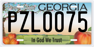 GA license plate PZL0075