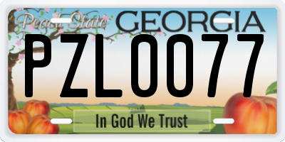 GA license plate PZL0077