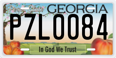 GA license plate PZL0084