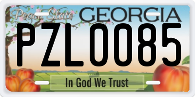 GA license plate PZL0085