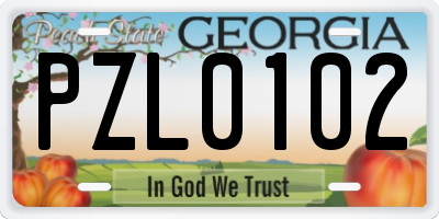 GA license plate PZL0102
