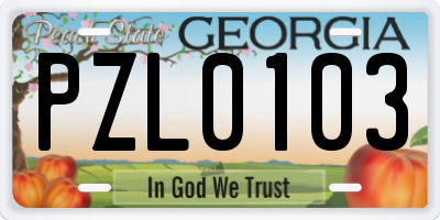 GA license plate PZL0103