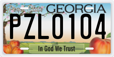 GA license plate PZL0104