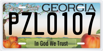 GA license plate PZL0107