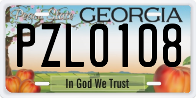 GA license plate PZL0108