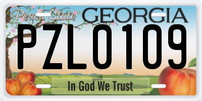 GA license plate PZL0109