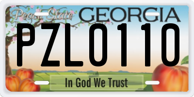 GA license plate PZL0110