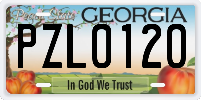 GA license plate PZL0120