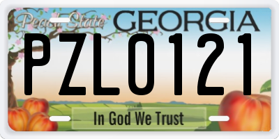 GA license plate PZL0121