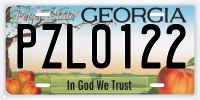 GA license plate PZL0122