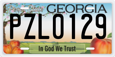 GA license plate PZL0129