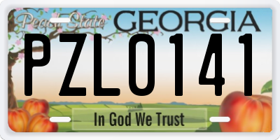 GA license plate PZL0141