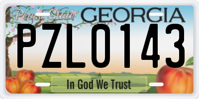 GA license plate PZL0143