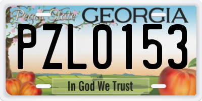 GA license plate PZL0153