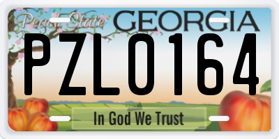 GA license plate PZL0164