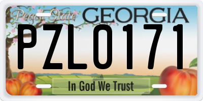 GA license plate PZL0171