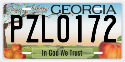 GA license plate PZL0172
