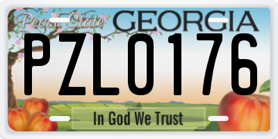 GA license plate PZL0176