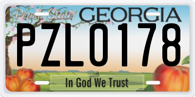 GA license plate PZL0178