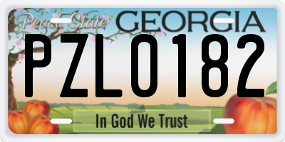 GA license plate PZL0182