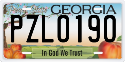 GA license plate PZL0190