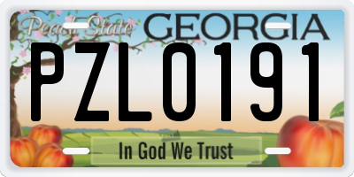 GA license plate PZL0191