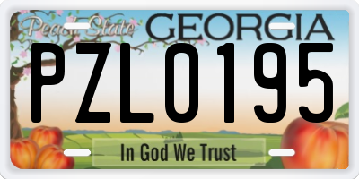 GA license plate PZL0195