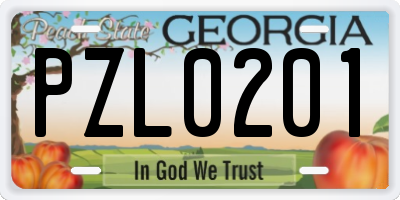 GA license plate PZL0201