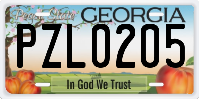 GA license plate PZL0205