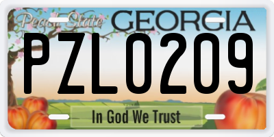 GA license plate PZL0209