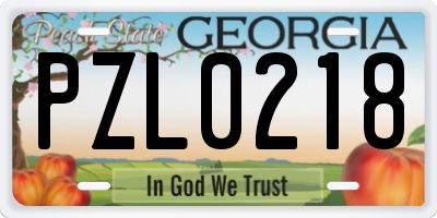 GA license plate PZL0218