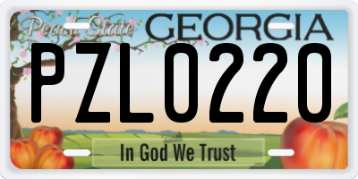 GA license plate PZL0220