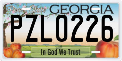 GA license plate PZL0226