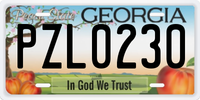 GA license plate PZL0230