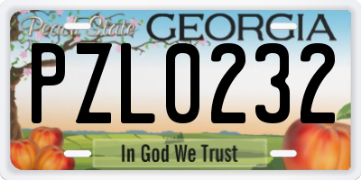 GA license plate PZL0232