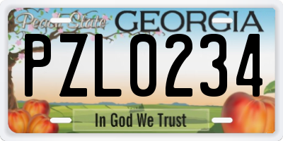 GA license plate PZL0234