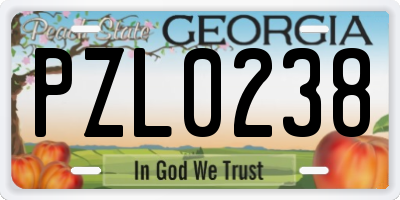 GA license plate PZL0238