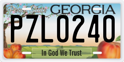 GA license plate PZL0240