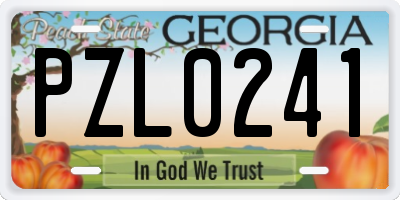 GA license plate PZL0241