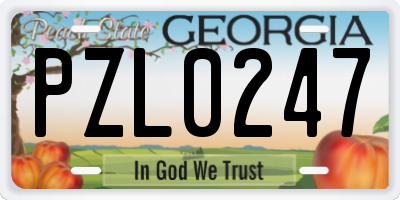 GA license plate PZL0247