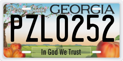 GA license plate PZL0252