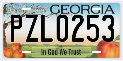GA license plate PZL0253