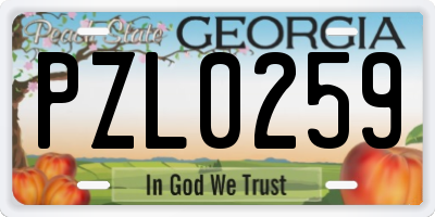 GA license plate PZL0259