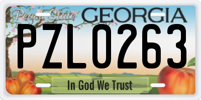 GA license plate PZL0263