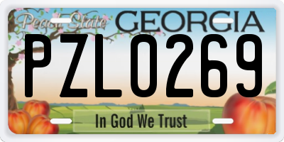 GA license plate PZL0269
