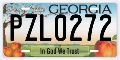 GA license plate PZL0272