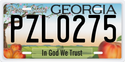 GA license plate PZL0275